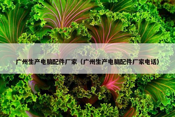 广州生产电脑配件厂家（广州生产电脑配件厂家电话）