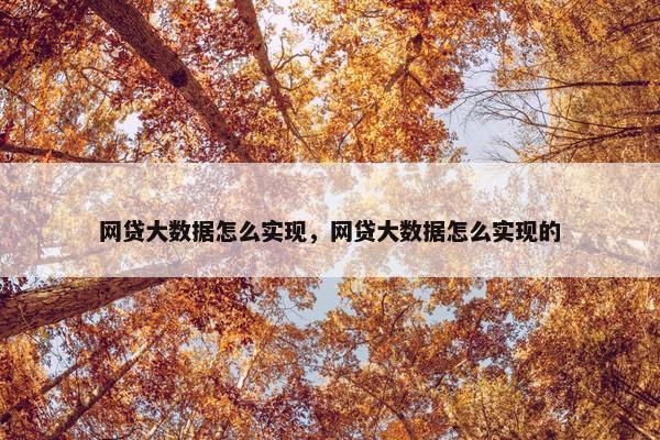 网贷大数据怎么实现，网贷大数据怎么实现的