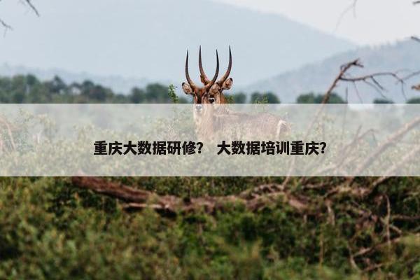 重庆大数据研修？ 大数据培训重庆？
