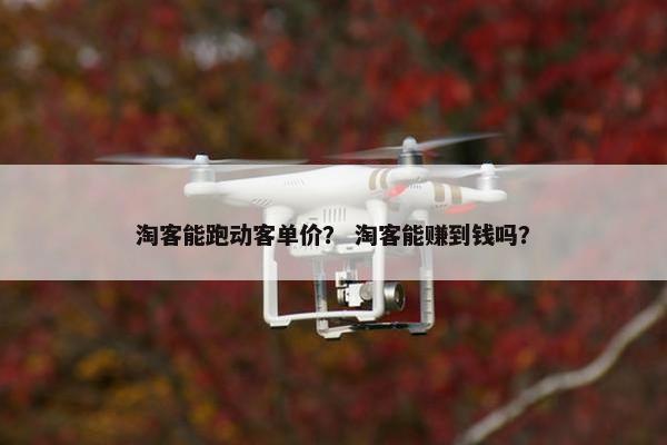 淘客能跑动客单价？ 淘客能赚到钱吗？