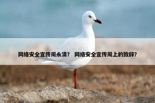 网络安全宣传周永清？ 网络安全宣传周上的致辞？