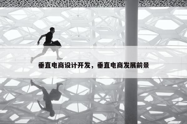 垂直电商设计开发，垂直电商发展前景