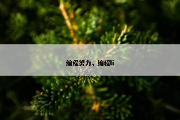 编程努力，编程li