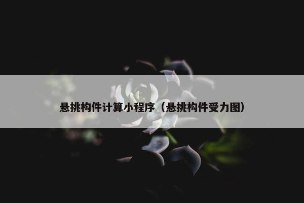 悬挑构件计算小程序（悬挑构件受力图）