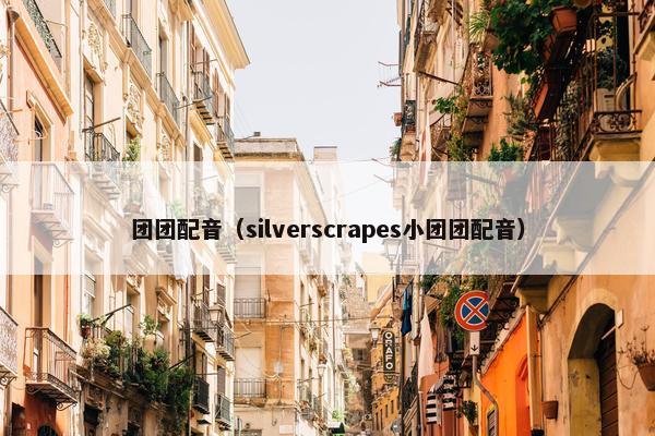 团团配音（silverscrapes小团团配音）