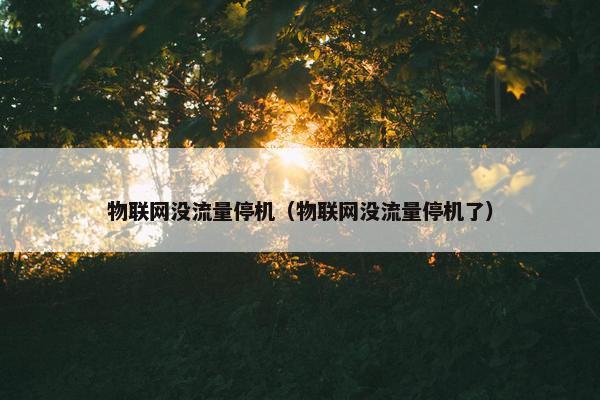 物联网没流量停机（物联网没流量停机了）