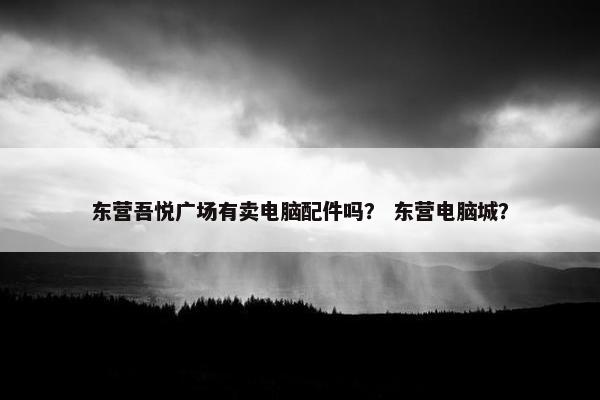 东营吾悦广场有卖电脑配件吗？ 东营电脑城？