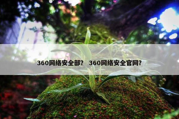 360网络安全部？ 360网络安全官网？
