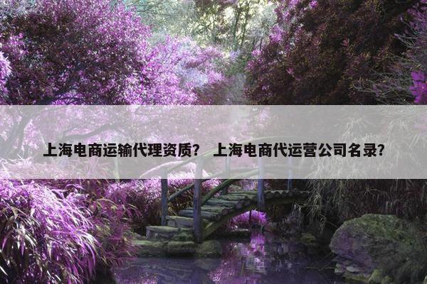 上海电商运输代理资质？ 上海电商代运营公司名录？