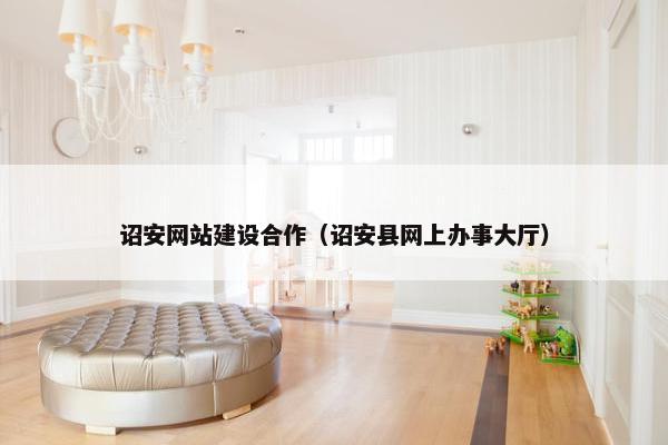诏安网站建设合作（诏安县网上办事大厅）