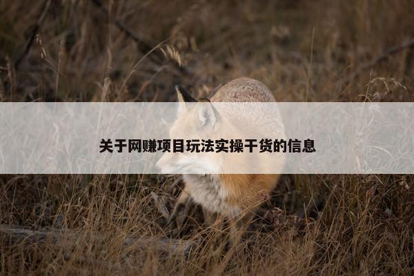 关于网赚项目玩法实操干货的信息