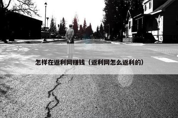 怎样在返利网赚钱（返利网怎么返利的）