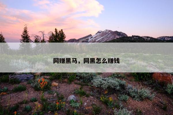 网赚黑马，网黑怎么赚钱