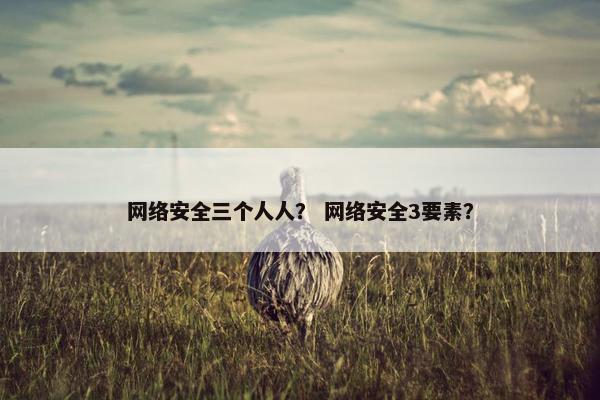 网络安全三个人人？ 网络安全3要素？