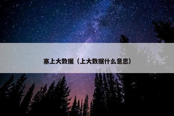 塞上大数据（上大数据什么意思）