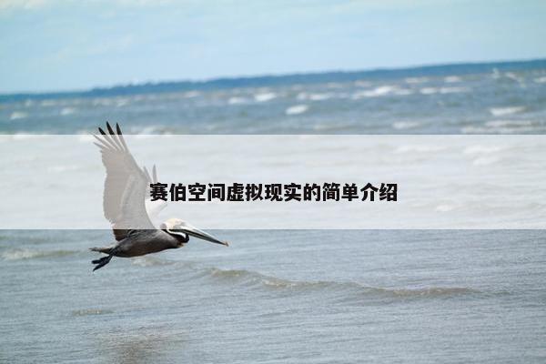 赛伯空间虚拟现实的简单介绍