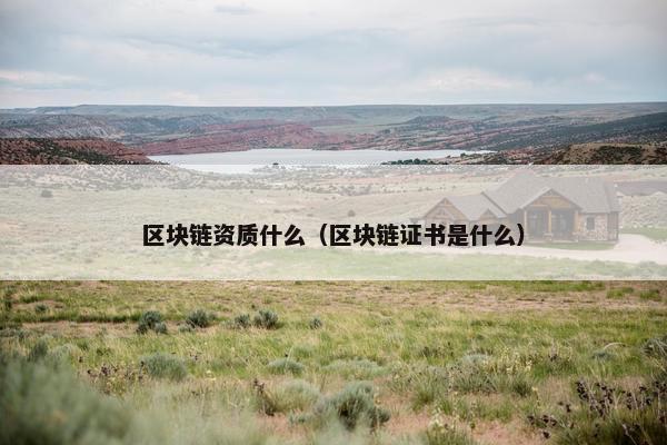 区块链资质什么（区块链证书是什么）