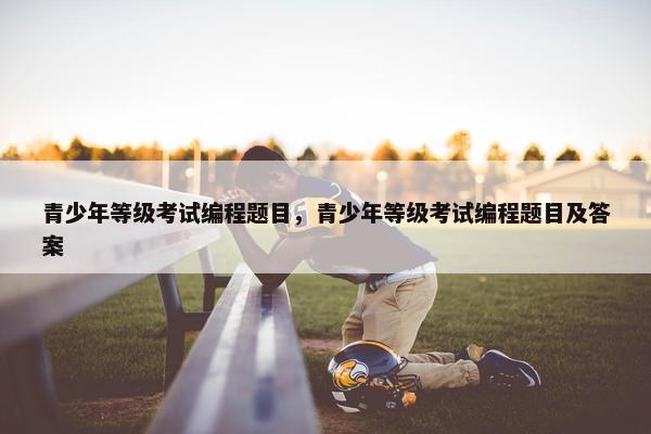 青少年等级考试编程题目，青少年等级考试编程题目及答案
