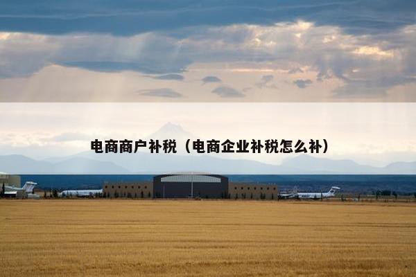 电商商户补税（电商企业补税怎么补）