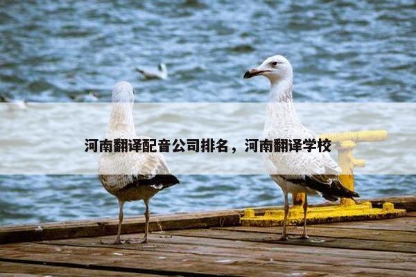 河南翻译配音公司排名，河南翻译学校