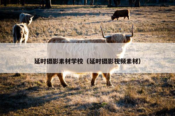 延时摄影素材学校（延时摄影视频素材）