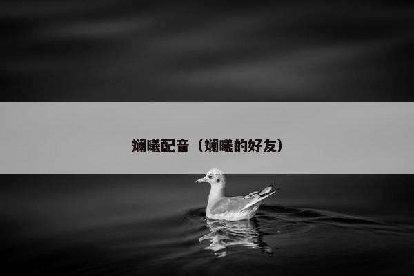 斓曦配音（斓曦的好友）