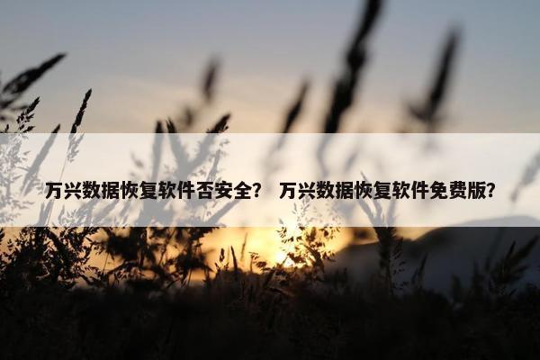 万兴数据恢复软件否安全？ 万兴数据恢复软件免费版？