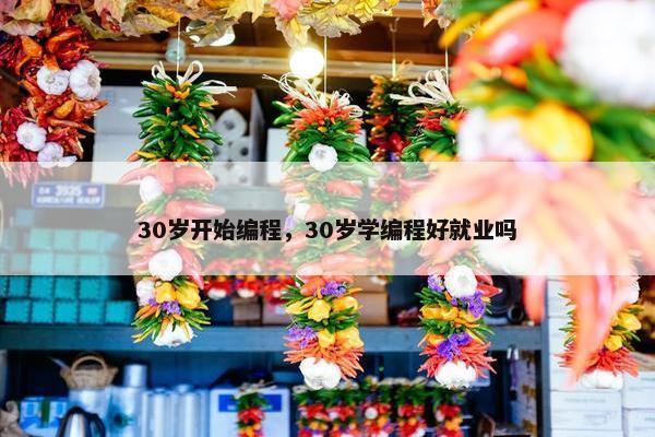 30岁开始编程，30岁学编程好就业吗