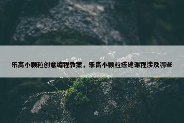 乐高小颗粒创意编程教案，乐高小颗粒搭建课程涉及哪些