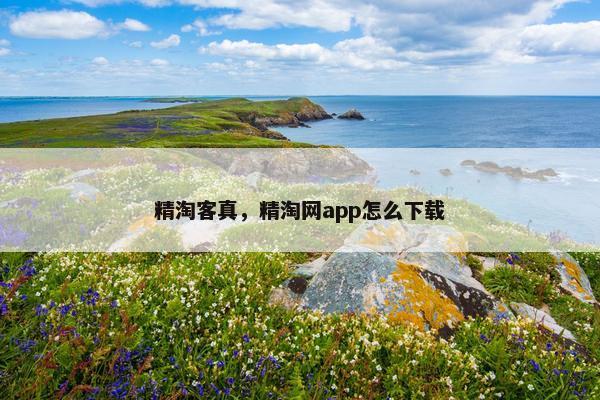 精淘客真，精淘网app怎么下载