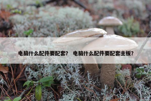 电脑什么配件要配套？ 电脑什么配件要配套主板？
