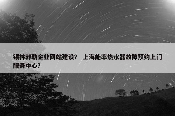 锡林郭勒企业网站建设？ 上海能率热水器故障预约上门服务中心？