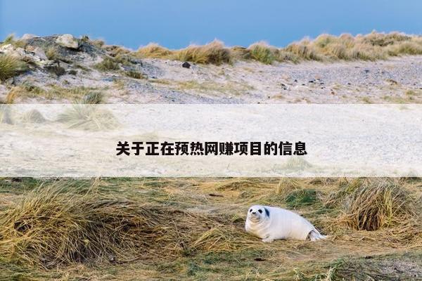 关于正在预热网赚项目的信息