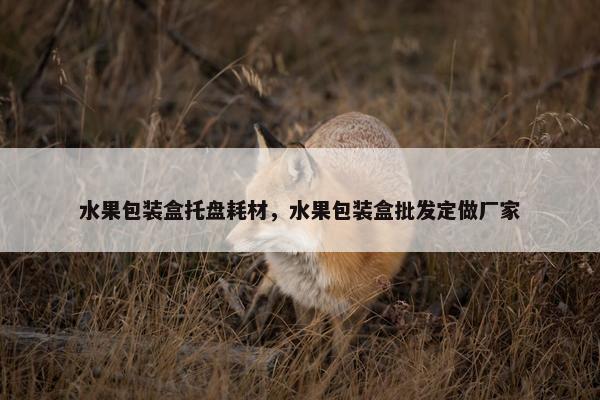 水果包装盒托盘耗材，水果包装盒批发定做厂家