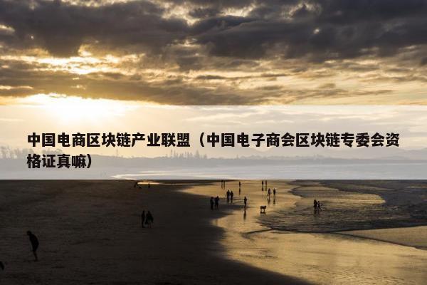 中国电商区块链产业联盟（中国电子商会区块链专委会资格证真嘛）