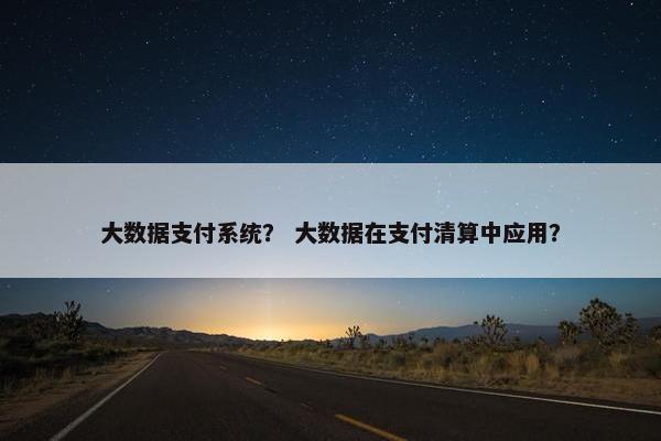 大数据支付系统？ 大数据在支付清算中应用？