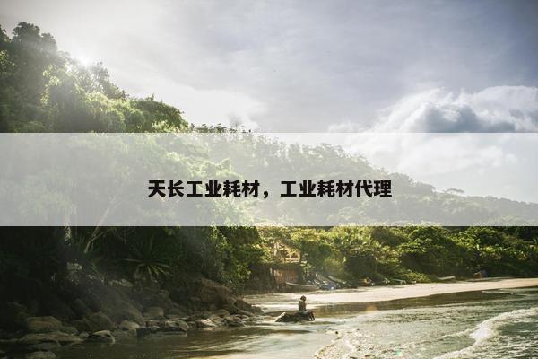天长工业耗材，工业耗材代理