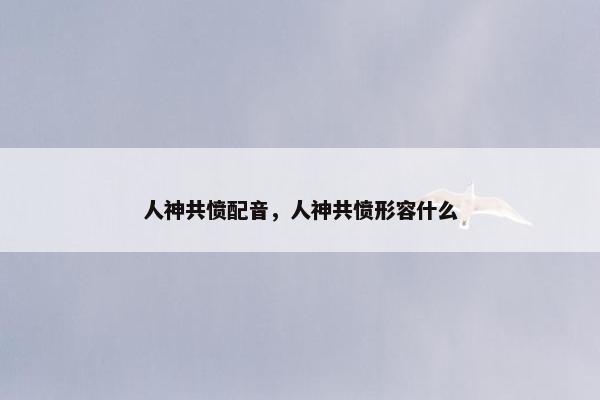 人神共愤配音，人神共愤形容什么