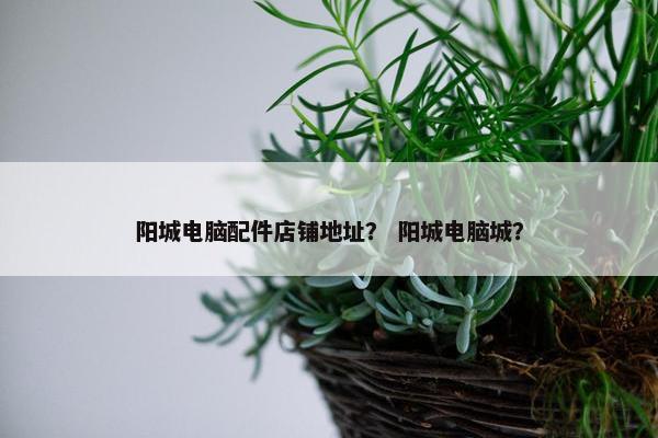 阳城电脑配件店铺地址？ 阳城电脑城？