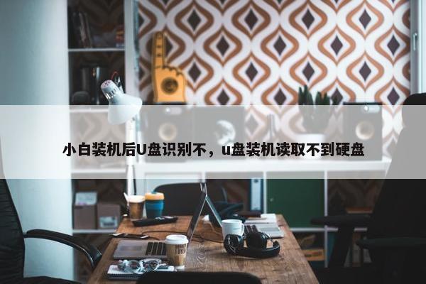 小白装机后U盘识别不，u盘装机读取不到硬盘
