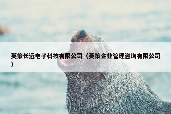 英策长远电子科技有限公司（英策企业管理咨询有限公司）