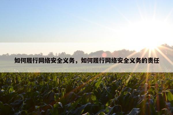 如何履行网络安全义务，如何履行网络安全义务的责任