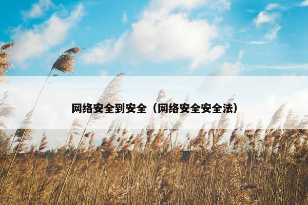 网络安全到安全（网络安全安全法）