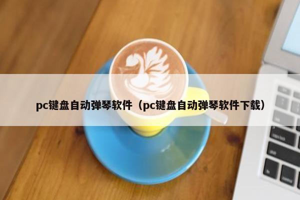 pc键盘自动弹琴软件（pc键盘自动弹琴软件下载）