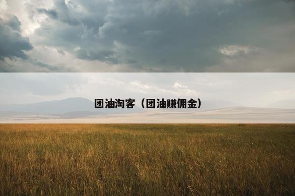 团油淘客（团油赚佣金）
