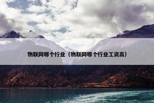 物联网哪个行业（物联网哪个行业工资高）