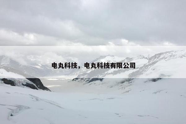 电丸科技，电丸科技有限公司