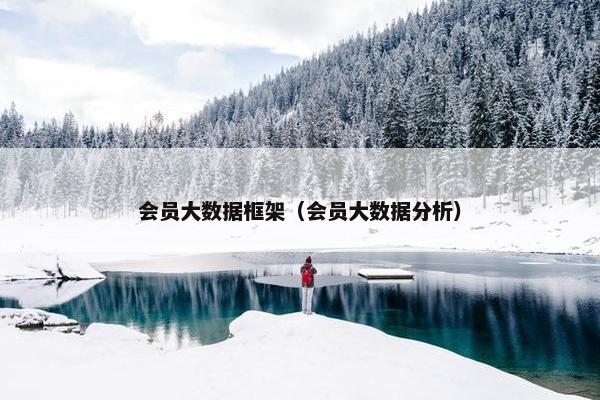 会员大数据框架（会员大数据分析）