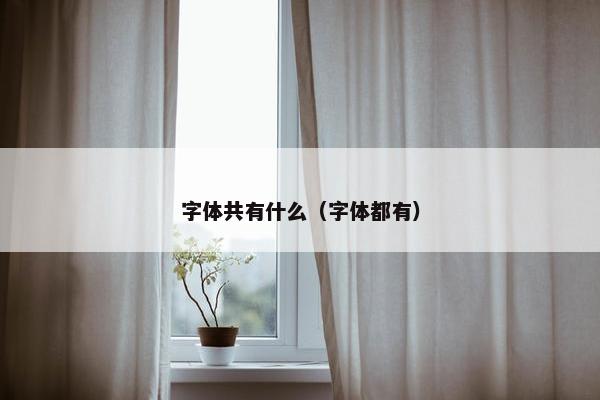 字体共有什么（字体都有）