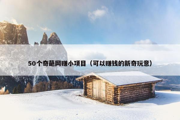 50个奇葩网赚小项目（可以赚钱的新奇玩意）